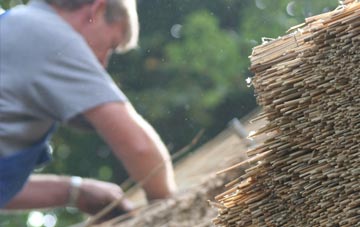 professional Ruiton thatchers